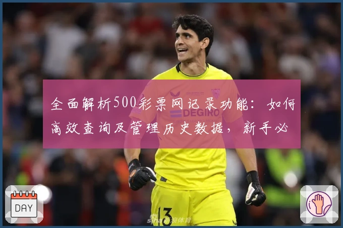 全面解析500彩票网记录功能：如何高效查询及管理历史数据，新手必备指南