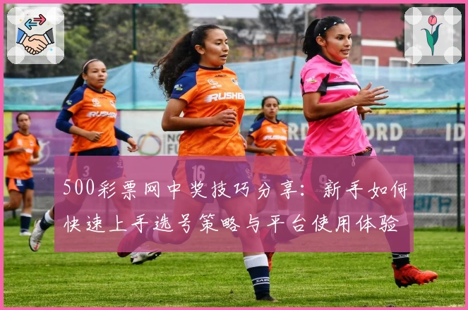 500彩票网中奖技巧分享：新手如何快速上手选号策略与平台使用体验解析