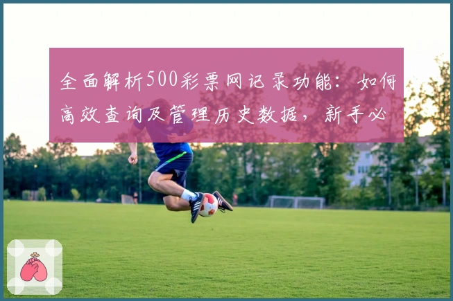 全面解析500彩票网记录功能：如何高效查询及管理历史数据，新手必备指南